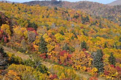 札幌国際スキー場の紅葉ゴンドラと定山渓の紅葉 2017（北海道定山渓）