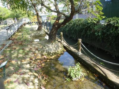 原生植物園をサイクリング 高雄 2017/12/24