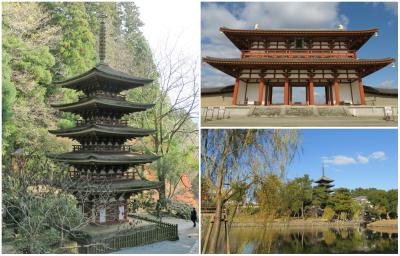 奈良　晩秋の紅葉狩り！郡山城跡/奈良国立博物館/長谷寺/室生寺