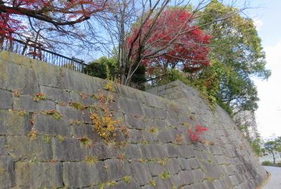 2017暮、大阪湾の名城(3/42)：12月5日(3)：有岡城(3/8)：荒木村重の惣構えの堅城