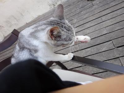 1705ポルトガル～国境に近い攻防の舞台となったElvas