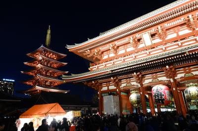 東京へ初詣  明治神宮、東郷神社、湯島天神、上野東照宮、浅草寺