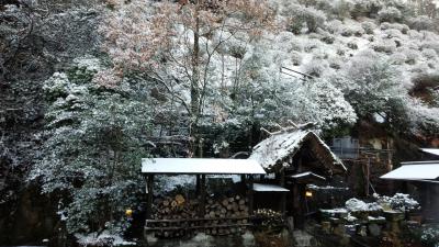 17年12月どこかにマイルで大分へ ～熊本編～