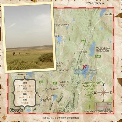 スリランカ~コロンボ・キャンディ・シーギリヤ