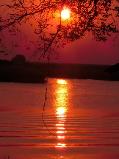 Mrs.kirinのアフリカ紀行 (14) マウンからカサネへの長距離バス移動