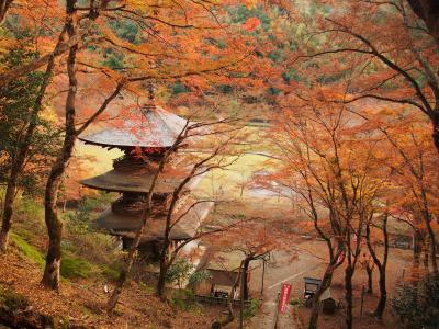 GO WEST!!!<2017> 香川・愛媛・山口・島根・鳥取・京都の旅⑪ ～舞鶴編