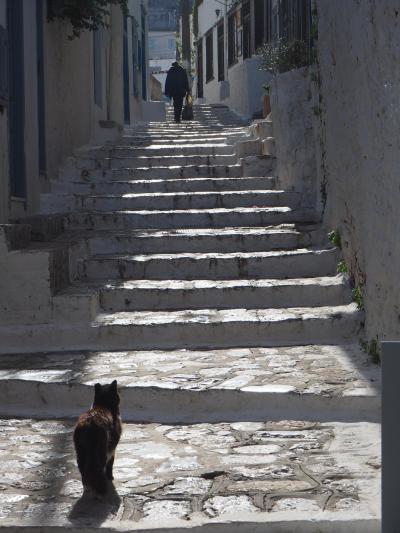 帰国前にアテネから日帰りイドラ島