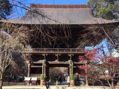 九品仏浄真寺・自由が丘　寺社巡り