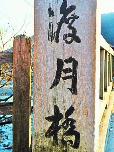 京都-12　嵐山：渡月橋あたり散策（15時まで）☆嵐山公園〔戸隠〕そば定食を