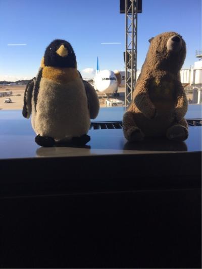 パパ・ママ・美優・優真・優佳の探検隊