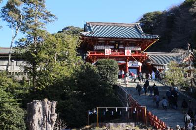 新年は鎌倉鶴岡八幡宮参拝から。その後は白旗神社、明王院、光触寺を参拝し金沢八景の瀬戸神社まで。