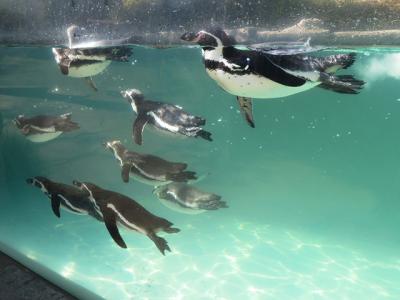 奈良井宿と飯田市動物園