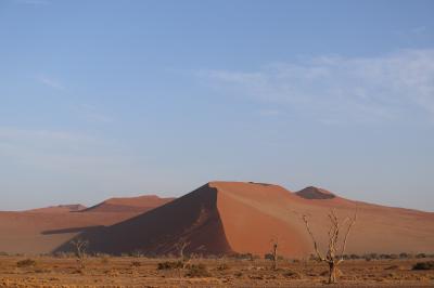 #4【カタール航空ビジネスクラスでアフリカへ】～砂漠ウォーキングは想像以上にチャレンジングだった。笑 ナミブ砂漠編