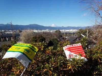 箱根駅伝応援と富士山