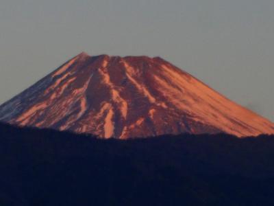 新春、駿河の社巡りーーー恒例の過大祈願が思わぬ結果に！（笑）