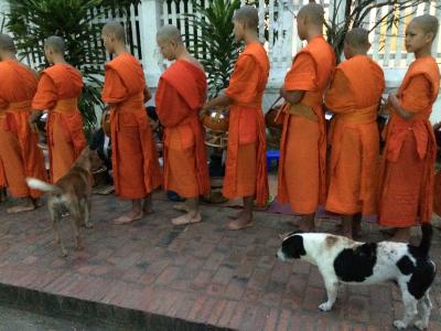 ルアンパパーン旅行