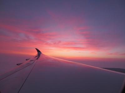 南アフリカ旅その1 北京→シンガポール→ヨハネスブルグ→クルーガーまで一気にGO!