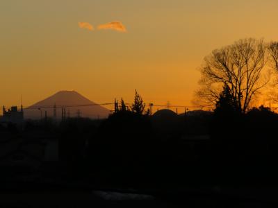 1月3日、ふじみ野市から見られた素晴らしい影富士