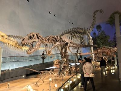 永平寺～丸岡城～山代温泉～恐竜博物館　　2日目 Ⅱ　恐竜博物館