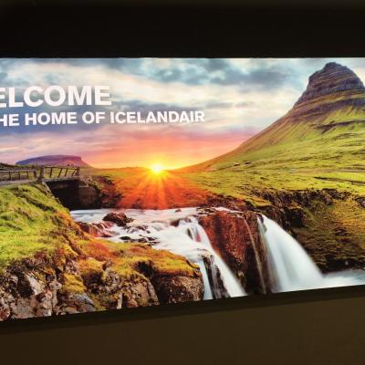 家族4人の海外旅行はもうないと思っていたのに　成人している子供達がついてきたアイスランド①