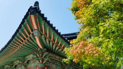 ★韓国地方一人旅★初めての釜山1日目は都会の喧騒を離れて梵魚寺（ポモサ）へ……