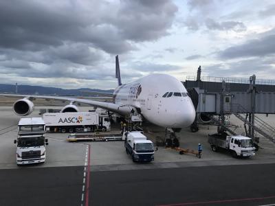 ウイーンへの旅(往路バンコクまで)タイ航空ビジネスクラス