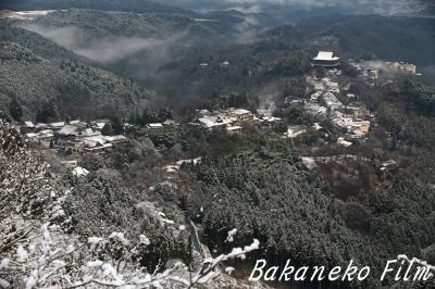 久方ぶり！！雪の吉野に花見に行く。