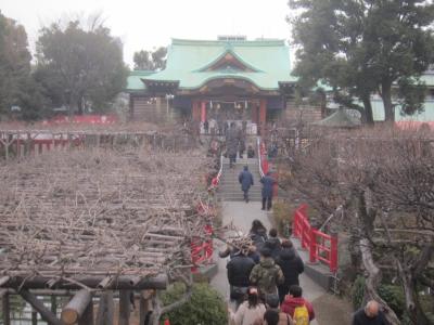 亀戸天神で合格祈願＞七福神めぐり＞餃子を食べて＞浅草へ