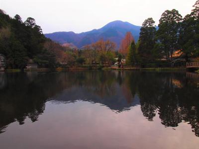 湯布院で定番人気スポット巡り～湯の岳庵さんでランチを頂き金鱗湖を散策しました。