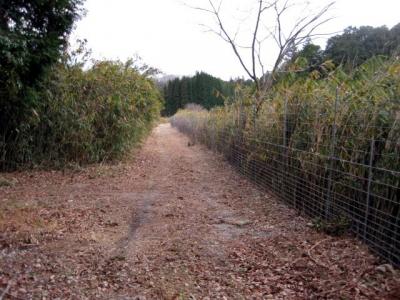 初瀬路古道５：新田宿⇒青山羽根