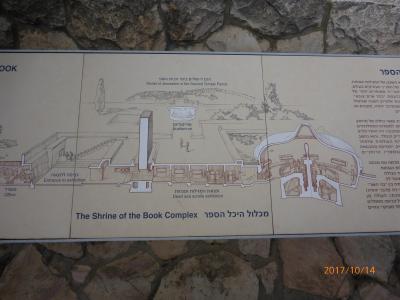 思いがけない出会い それも旅の醍醐味でしょうか? イスラエル