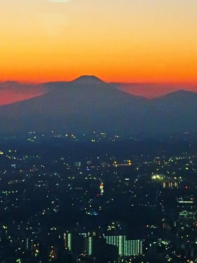 横浜-10　富士山　残照＊日没から夕暮　☆地上273ｍ眺望=スカイガーデン