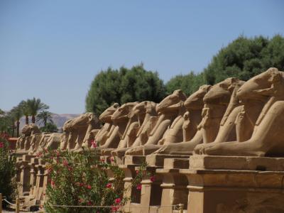 悠久の歴史の流れを感じさせる旅　エジプト　～ルクソール東岸～
