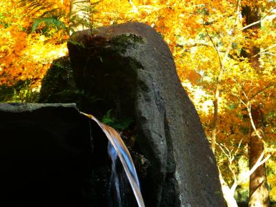 From season to season ～Senganen Gardens, Kagoshima, Kyushu, Japan～