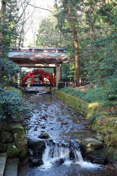 4食付き♪白銀の新潟へ…　10種の握り寿司食べ放題・海鮮舟盛膳・へぎそば・白鳥舞う瓢湖・雪見阿賀野川舟下り・弥彦神社〈第2日目part1〉