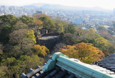 2017暮、大阪湾の名城(32/42)：12月7日(5)：和歌山城(5/7)：大天守、御台所展示品