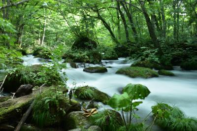 絶景！夏の青森！！（4日目：十和田湖、奥入瀬 編）