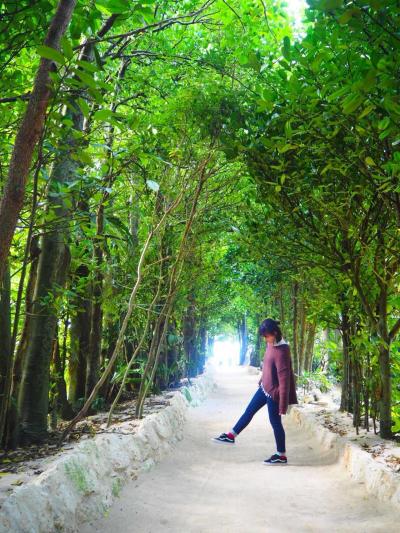 盛り沢山の4泊5日   年末年始  初めての家族旅行  in  沖縄   Part 2