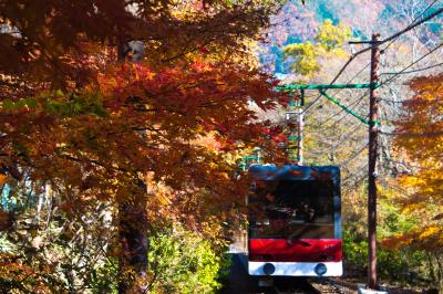 紅葉の箱根と富士