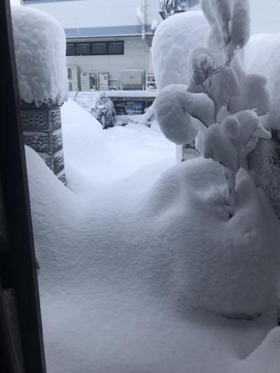 2018年1月 富山の雪道 (ハイブリッド車の整備モード デフロック TRC解除)