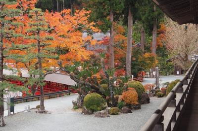 古刹　方広寺　浜名湖五山　井伊直虎のロケ地を旅する。半僧坊と　五百羅漢。見事な登り龍と降り龍など満腹でした!