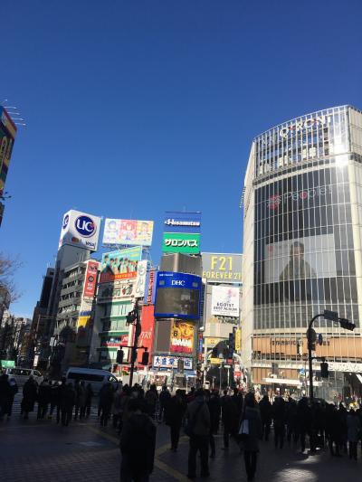 ジェットスターで行く2泊3日東京横浜の旅(2日目)