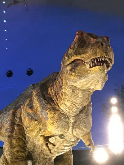 福井恐竜博物館・小浜旅行
