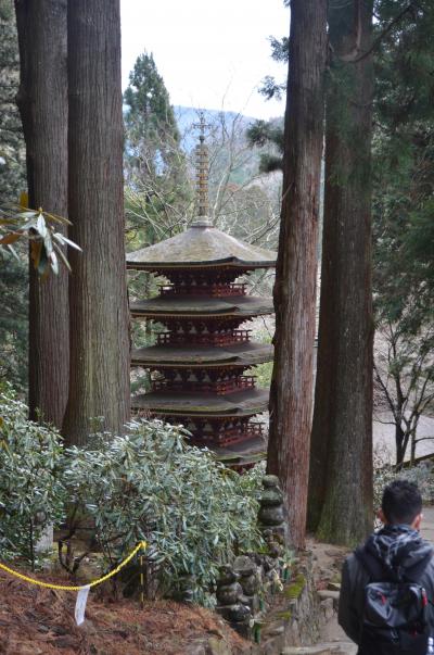 女人高野　室生寺そして長谷寺