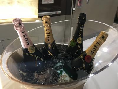 ウイーンへの旅(復路ウイーンからドバイ経由で成田へ)エミレーツビジネスクラスとドバイのラウンジ