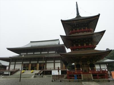 成田(成田山新勝寺 '17.10月)