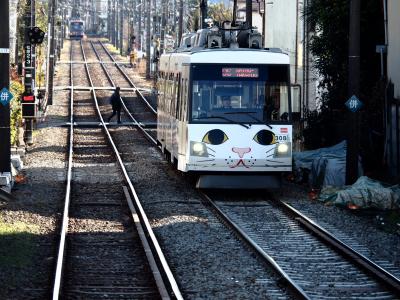 招き猫電車に乗って豪徳寺に行ってきました