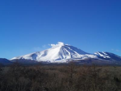 ２０１７’年末　宇都宮餃子と群馬サファリパークの旅