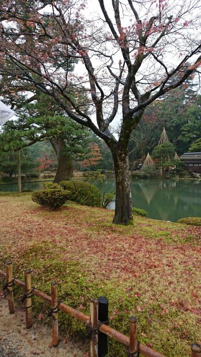 初めての金沢！甘い寒ブリ！（追記あり）