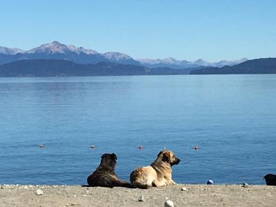 昔を懐かしみ、再び、Buenos Aires と  Bariloche 